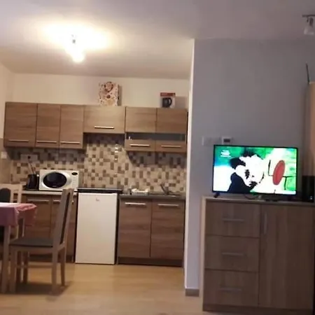 Pensiune Alexander *